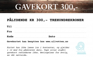 Gavekort_ullvotten_300kr_bak